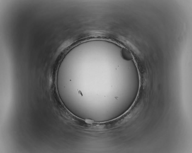 X0000115661261200911190958