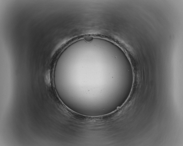 X0000115661262200911190958