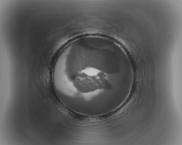 X0000115661263200911190958