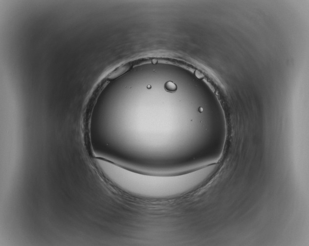 X0000115661264200911190958