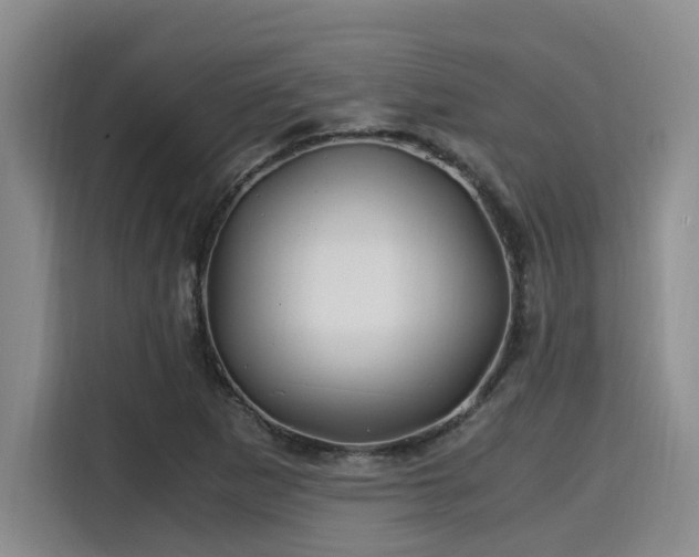 X0000115661265200911190958