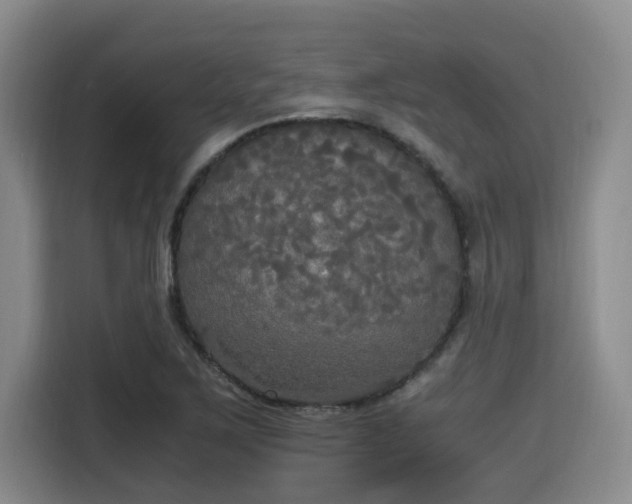 X0000115661267200911190958