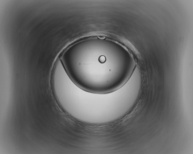 X0000115661268200911190958
