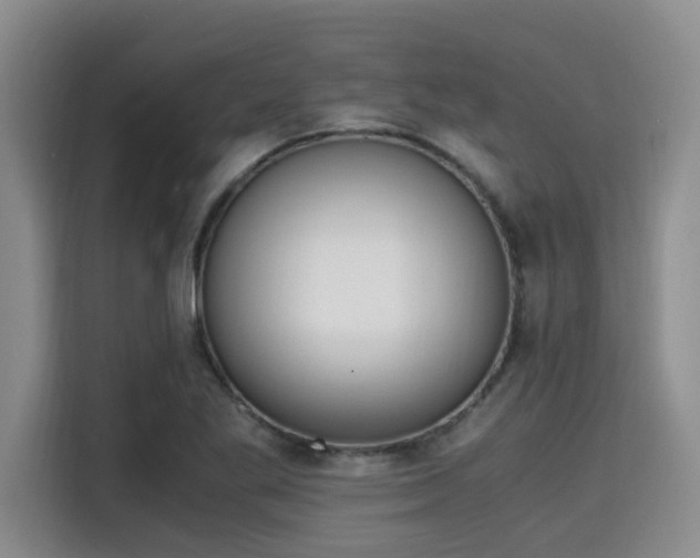 X0000115661269200911190958