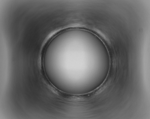 X0000115661270200911190958