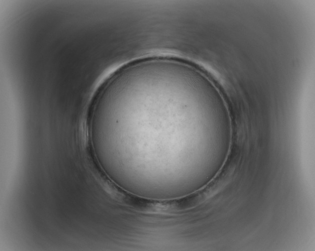 X0000115661271200911190958