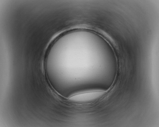 X0000115661272200911190958