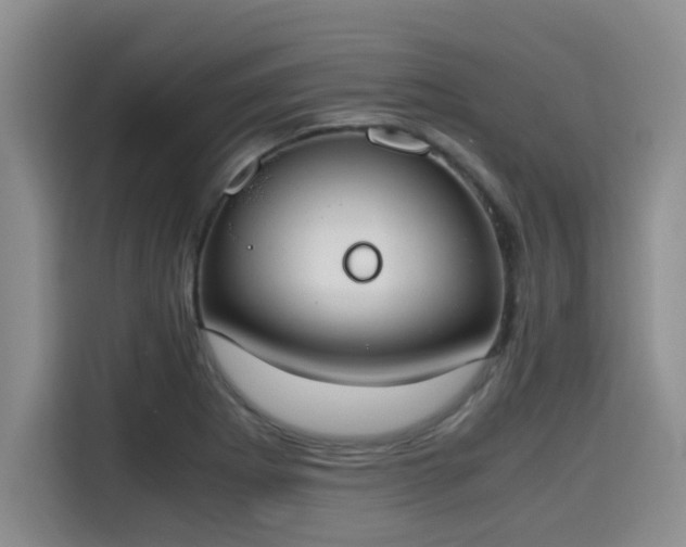 X0000115661273200911190958
