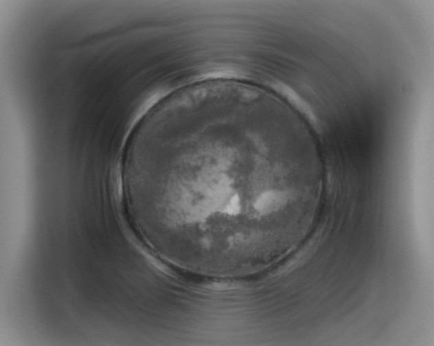 X0000115661274200911190958