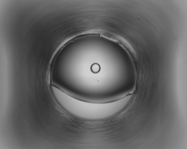 X0000115661276200911190958