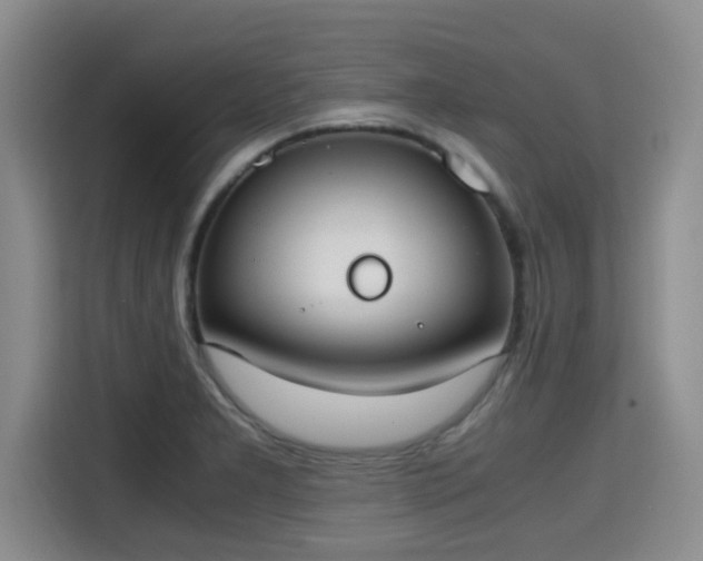 X0000115661277200911190958