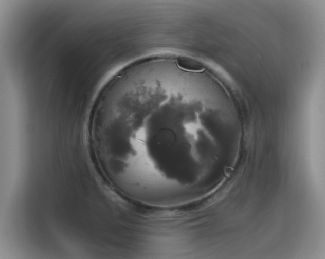 X0000115661279200911190958