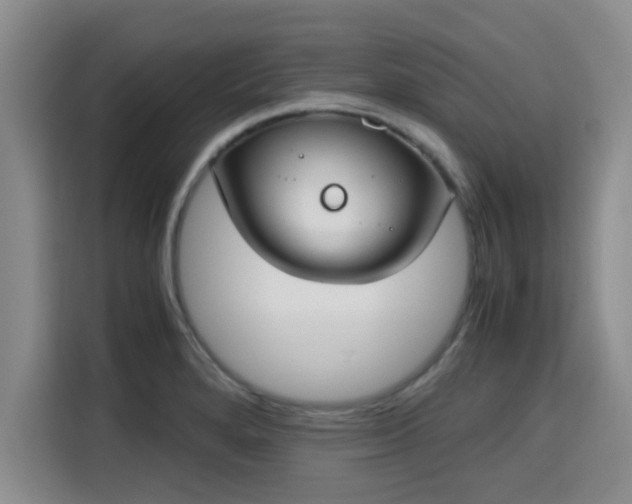 X0000115661280200911190958