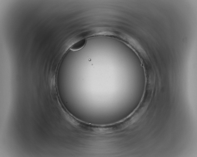 X0000115661281200911190958