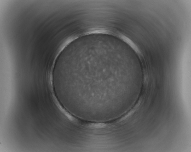 X0000115661282200911190958