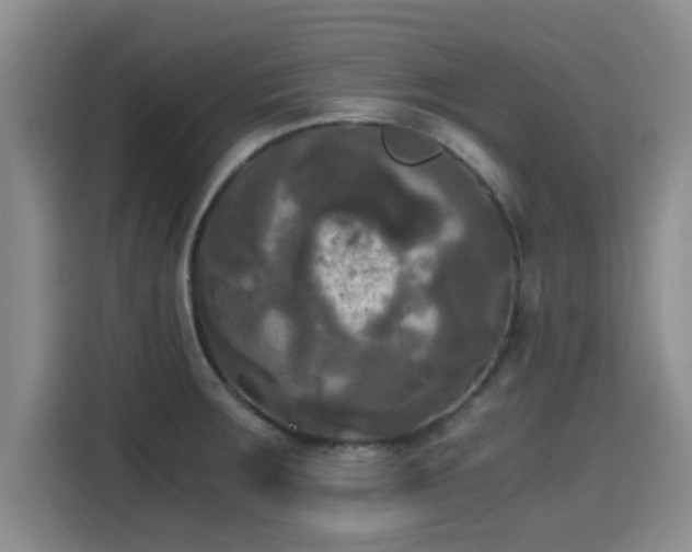 X0000115661283200911190957