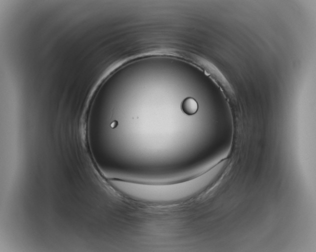 X0000115661284200911190957
