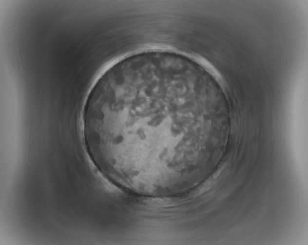 X0000115661287200911190957