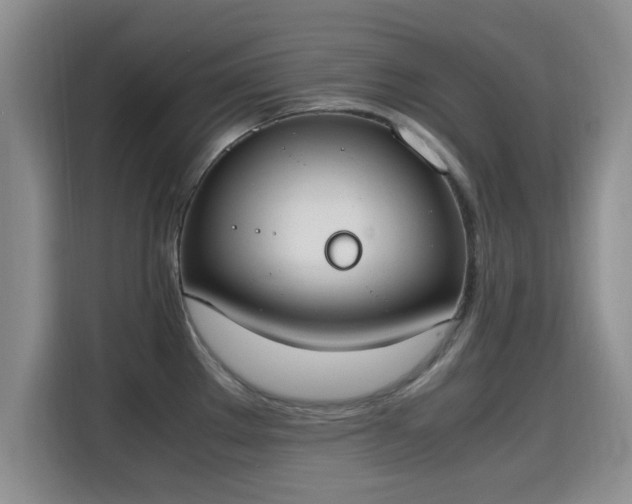 X0000115661289200911190957