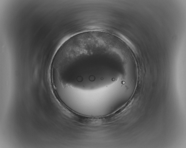 X0000115661291200911190957