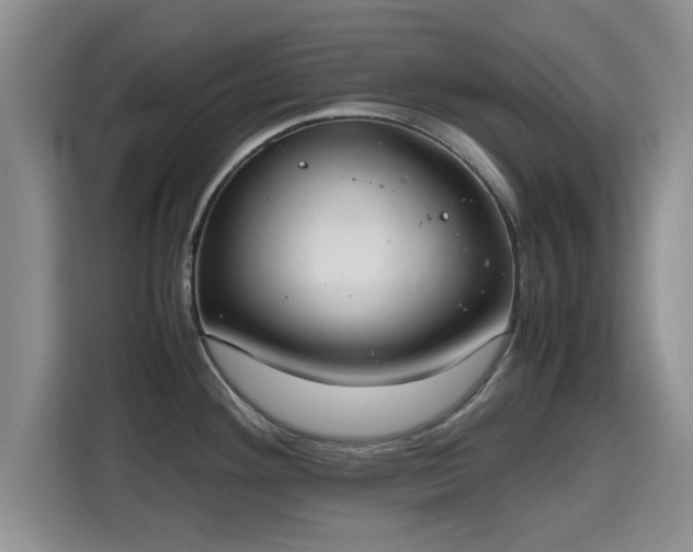 X0000115661292200911190957