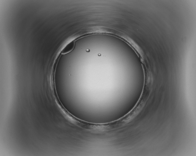 X0000115661293200911190957