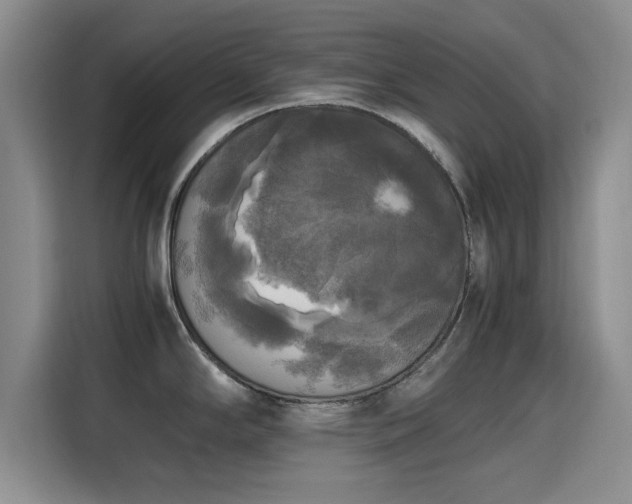 X0000115661294200911190957