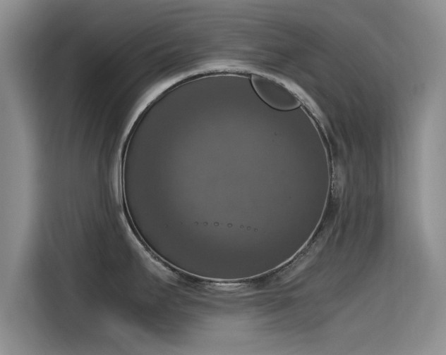 X0000115661295200911190957