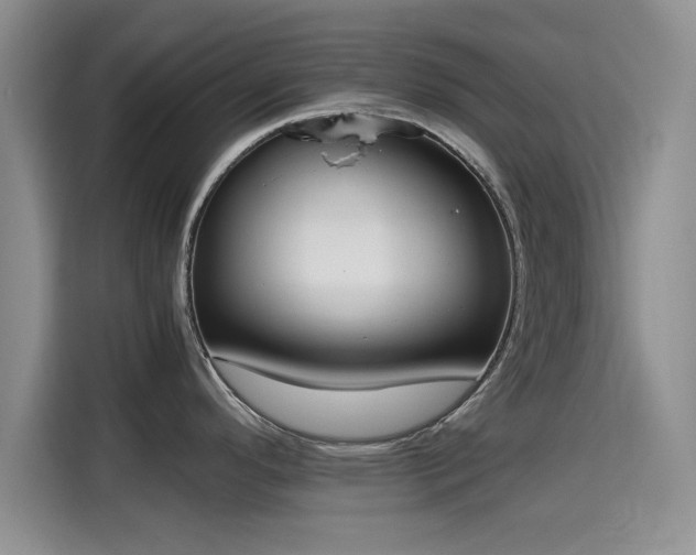 X0000115661296200911190957