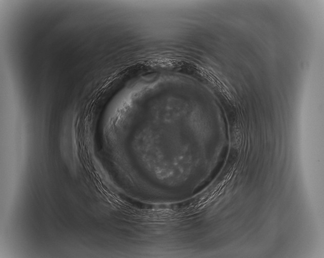 X0000115661297200911190957