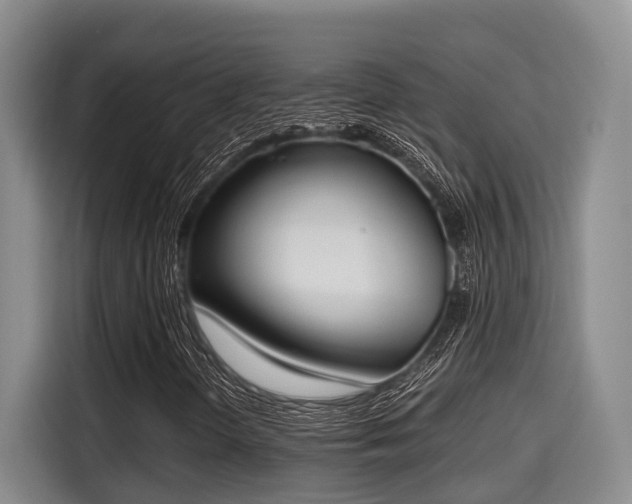 X0000115661298200911190957