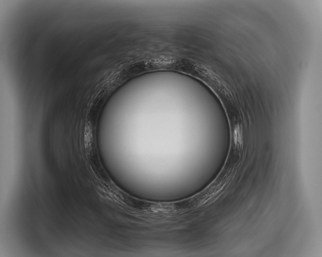 X0000115661299200911190957