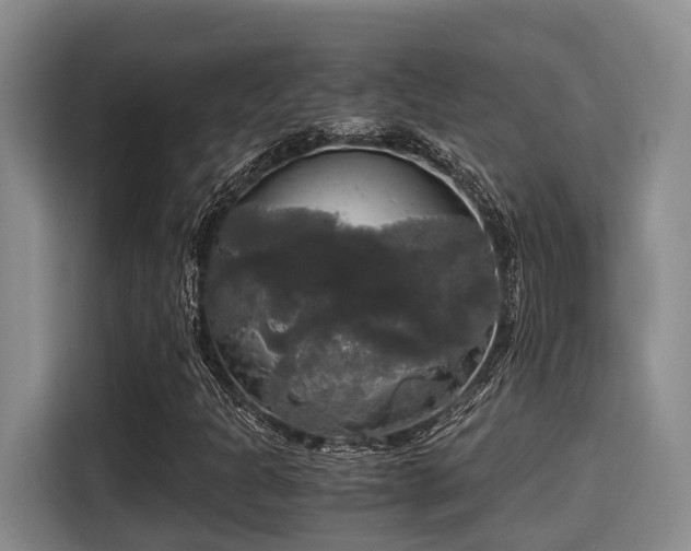 X0000115661301200911190957