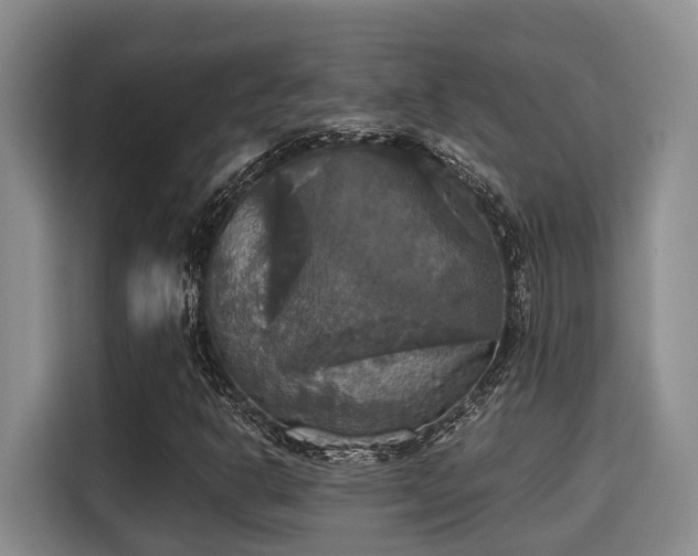 X0000115661302200911190957