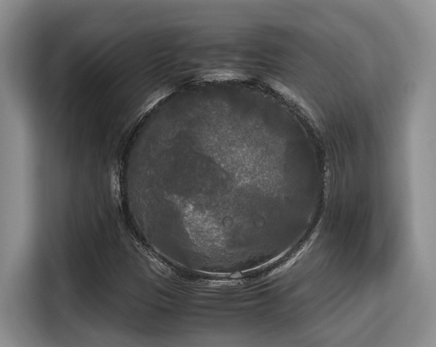 X0000115661305200911190957