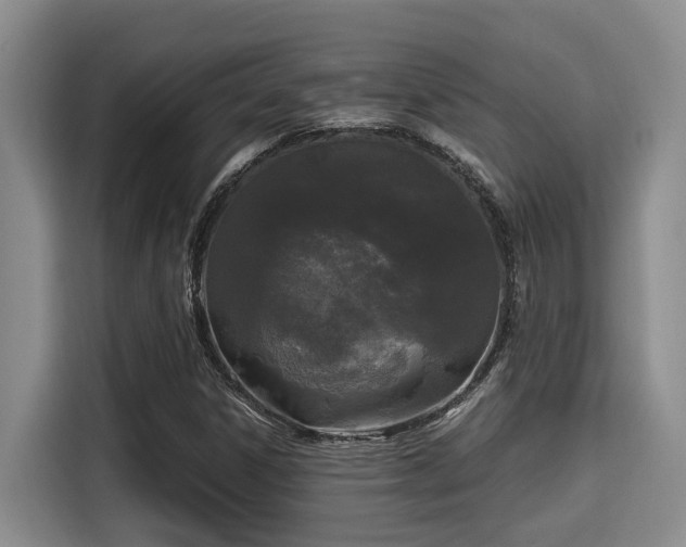 X0000115661306200911190957