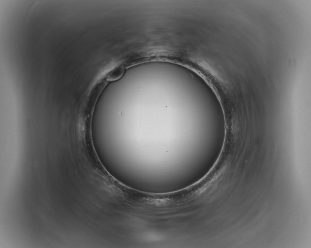 X0000115661309200911190957
