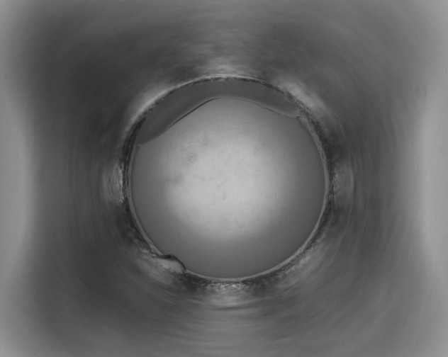 X0000115661310200911190957
