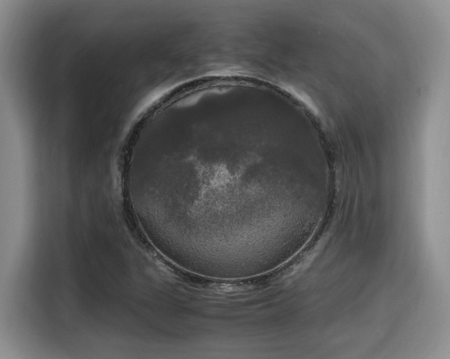 X0000115661311200911190957