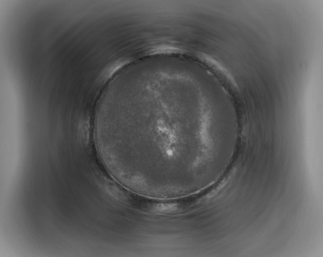 X0000115661313200911190957