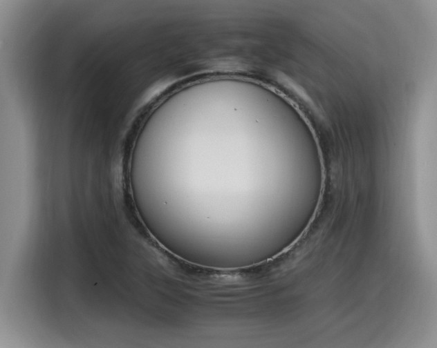 X0000115661315200911190957
