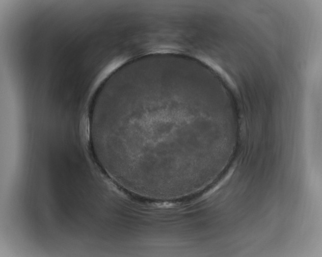 X0000115661317200911190957