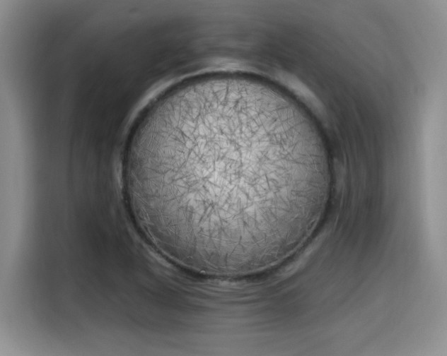 X0000115661318200911190957