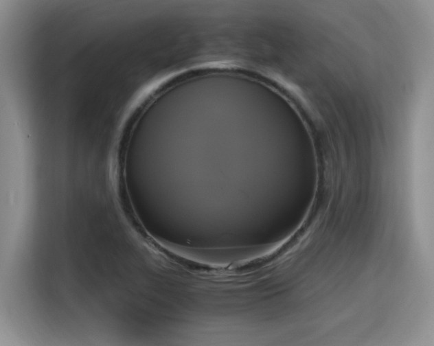 X0000115661319200911190957