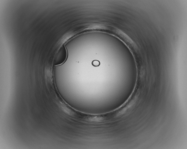 X0000115661321200911190957