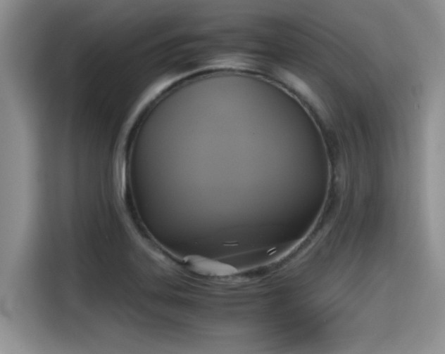 X0000115661323200911190957