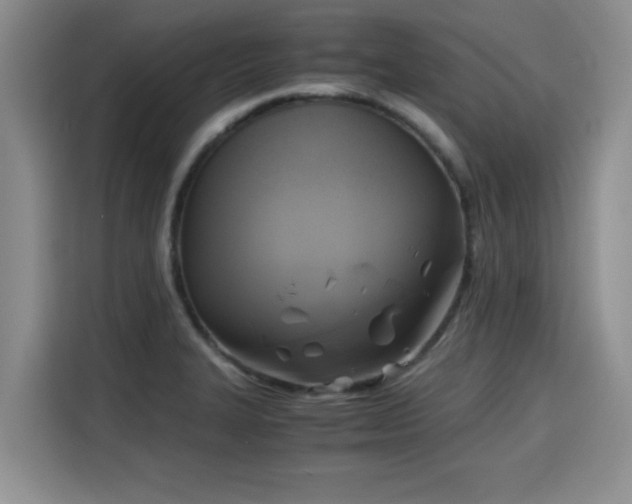 X0000115661327200911190957