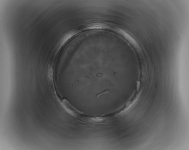 X0000115661329200911190957