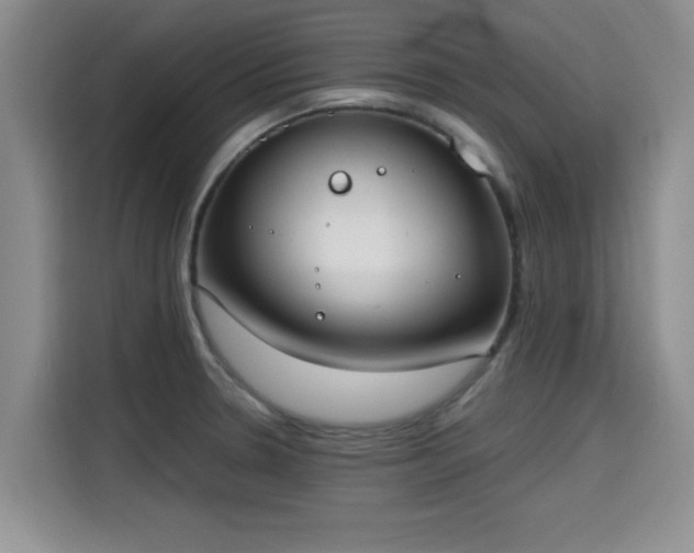 X0000115661330200911190957