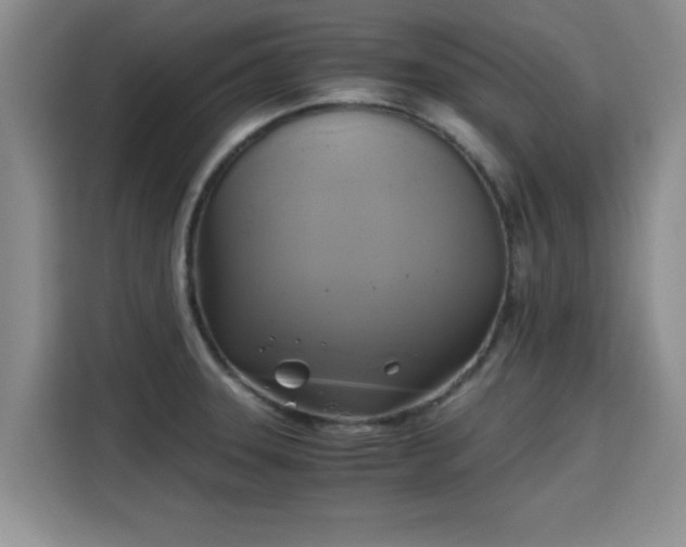 X0000115661331200911190957
